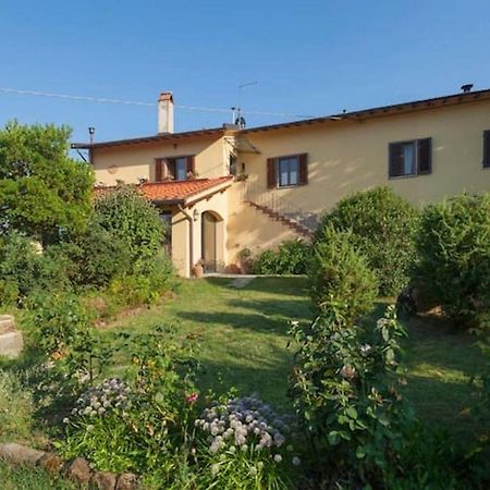 Villa Porcigliano Olive Grove Polcanto Kültér fotó