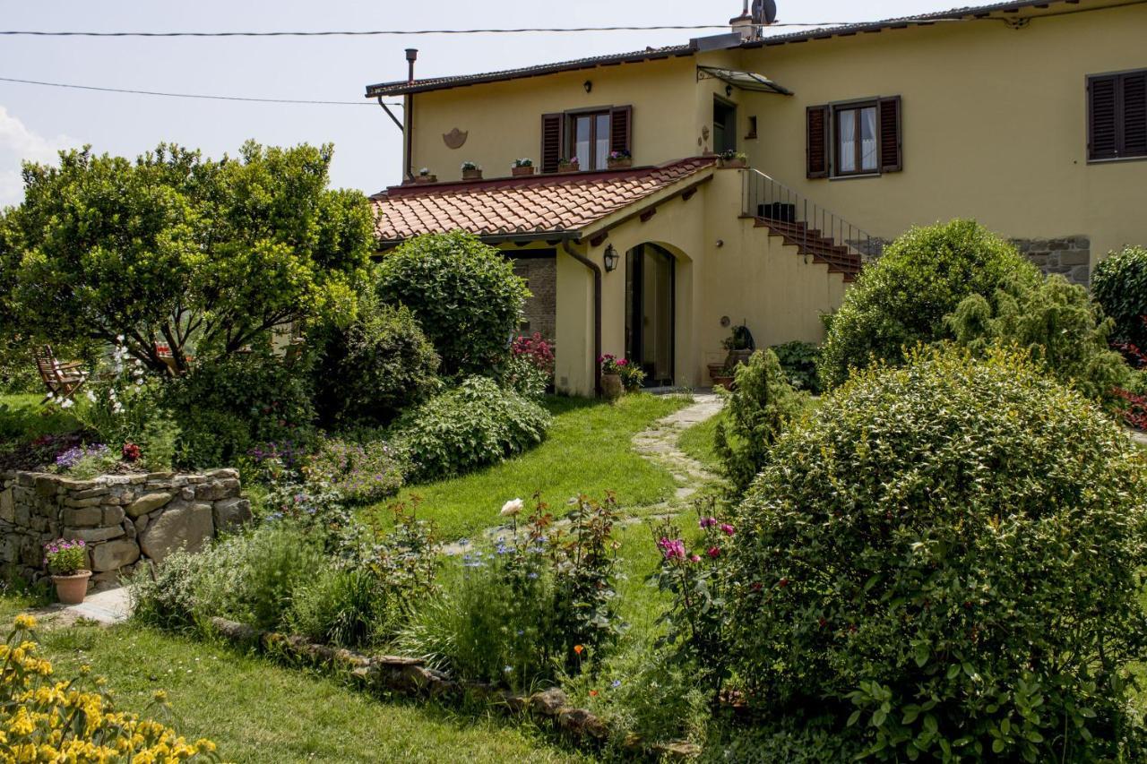 Villa Porcigliano Olive Grove Polcanto Kültér fotó