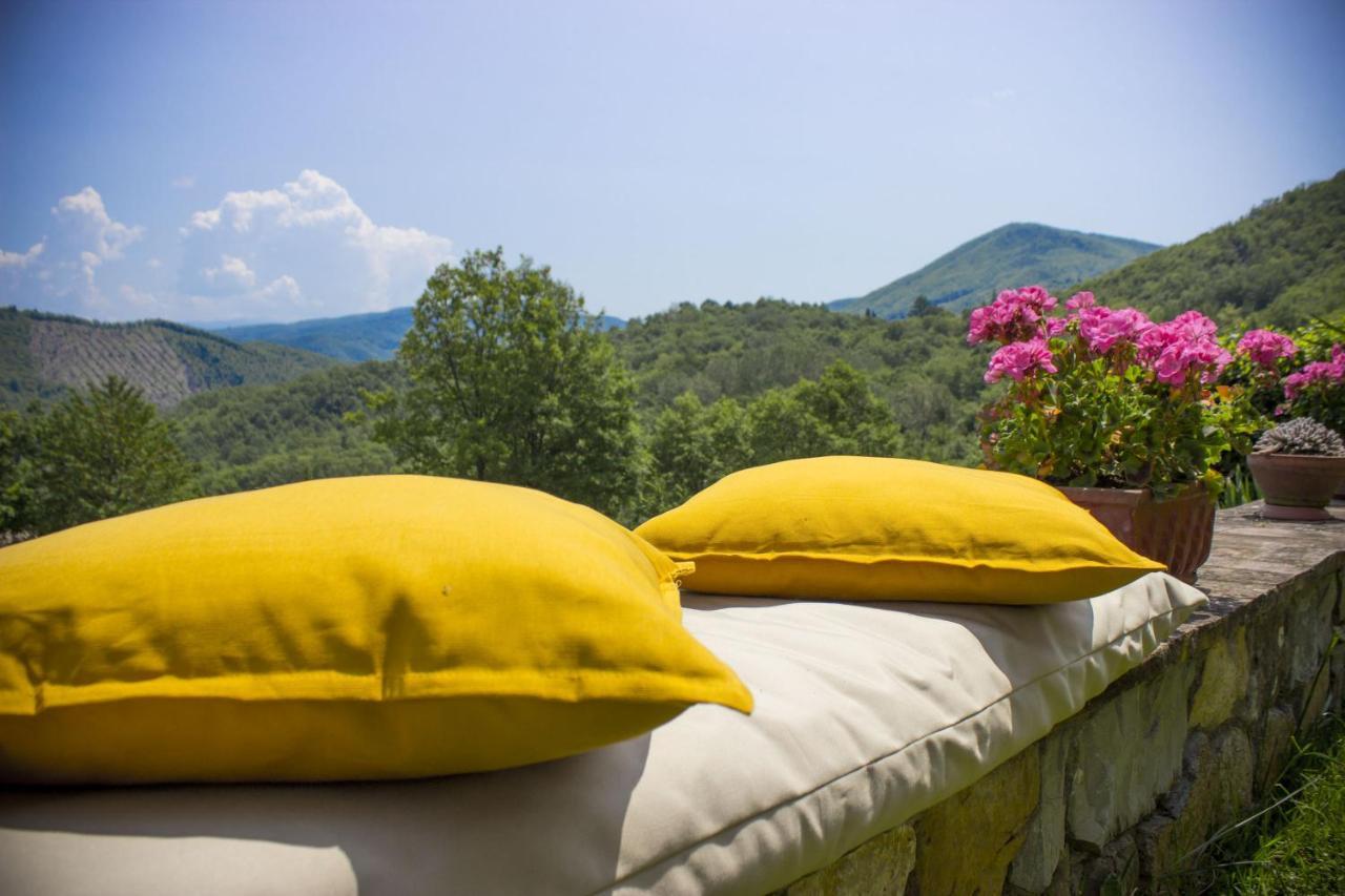 Villa Porcigliano Olive Grove Polcanto Kültér fotó