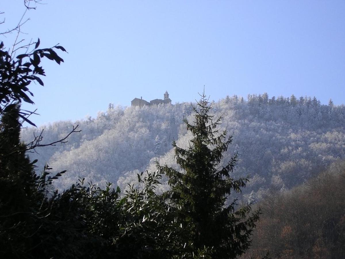 Villa Porcigliano Olive Grove Polcanto Kültér fotó
