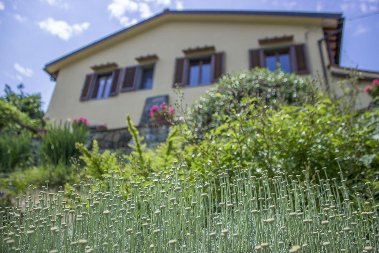 Villa Porcigliano Olive Grove Polcanto Kültér fotó