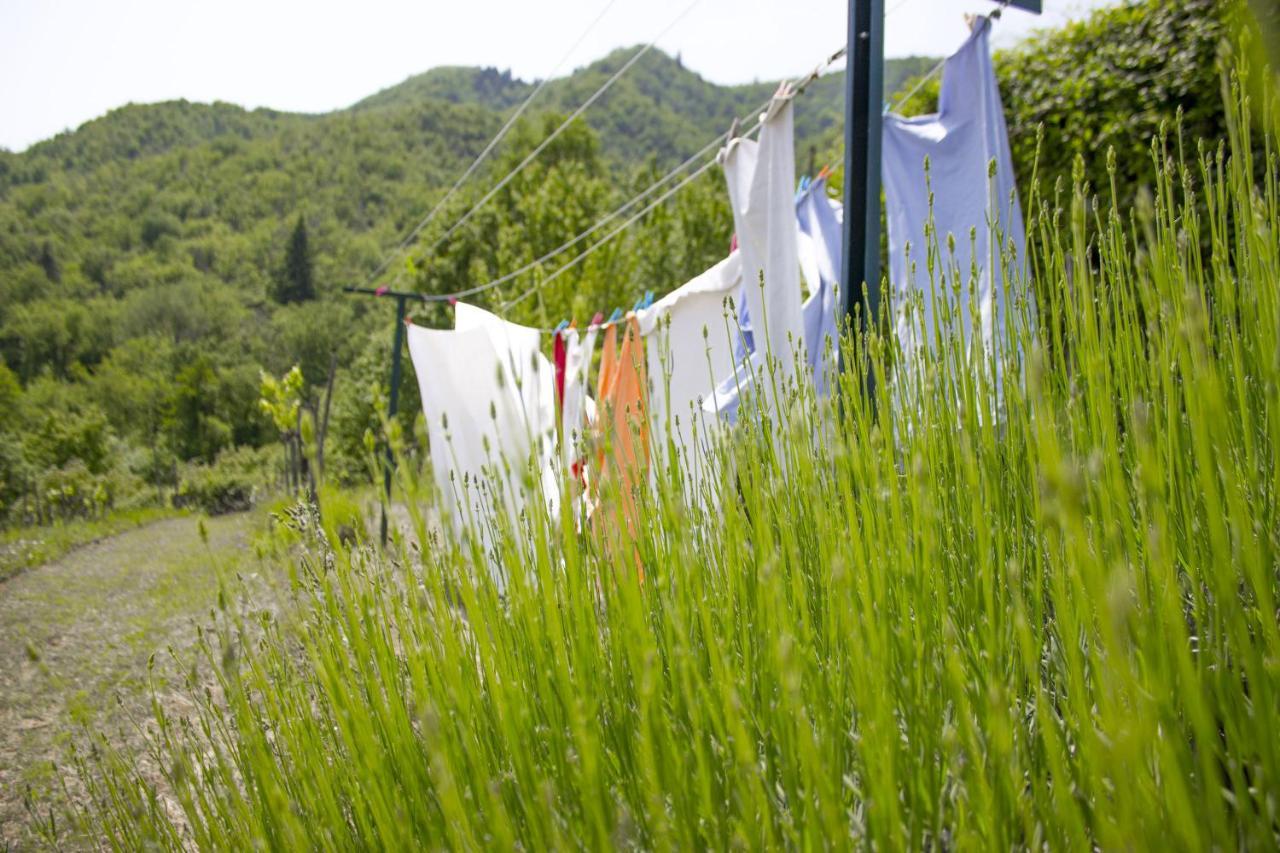 Villa Porcigliano Olive Grove Polcanto Kültér fotó