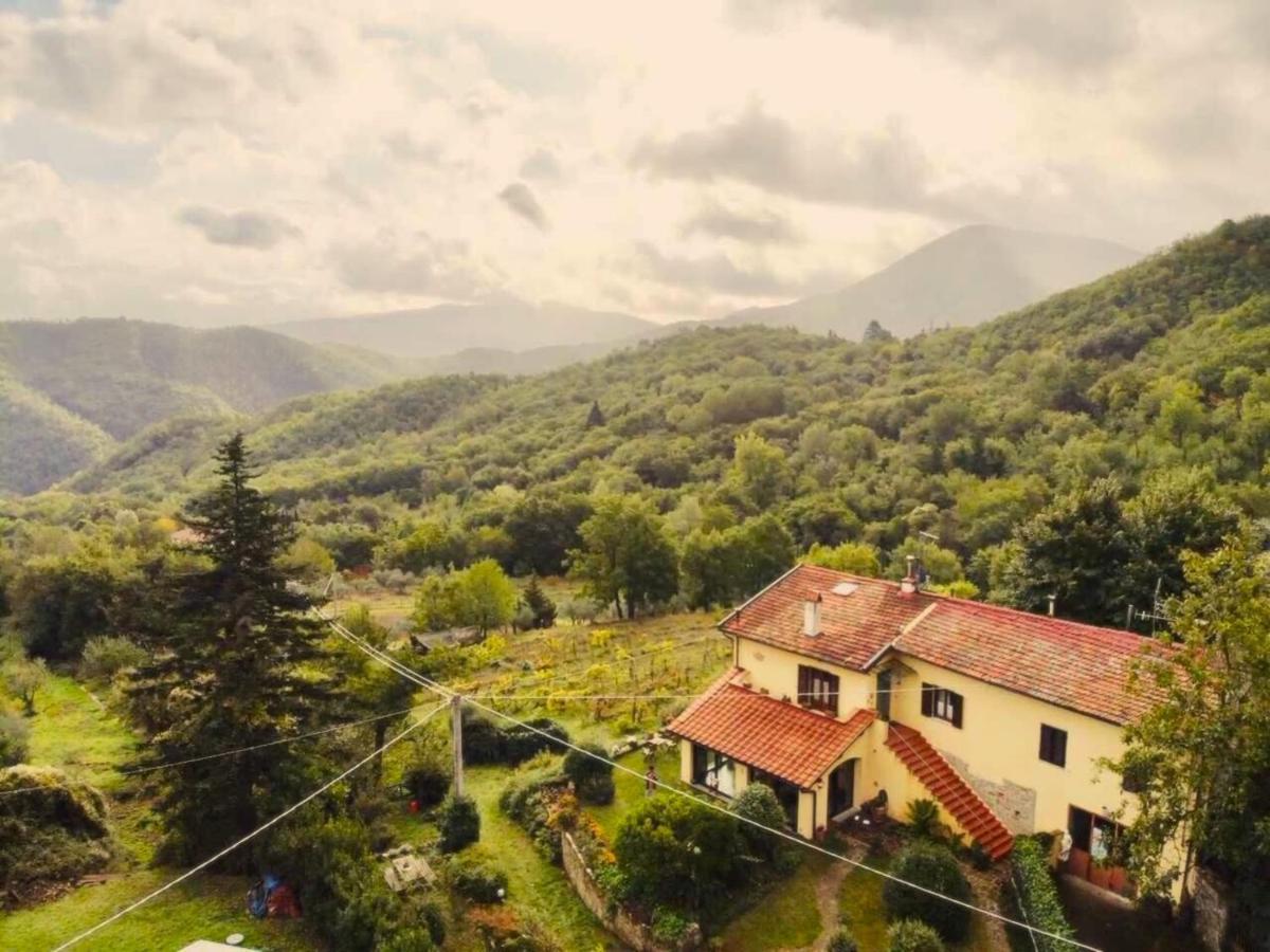 Villa Porcigliano Olive Grove Polcanto Kültér fotó