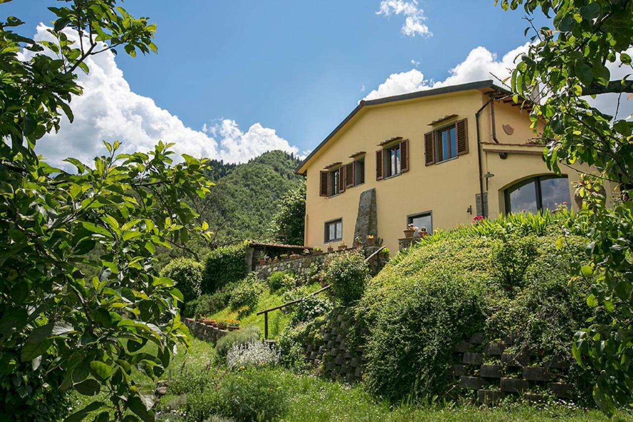 Villa Porcigliano Olive Grove Polcanto Kültér fotó