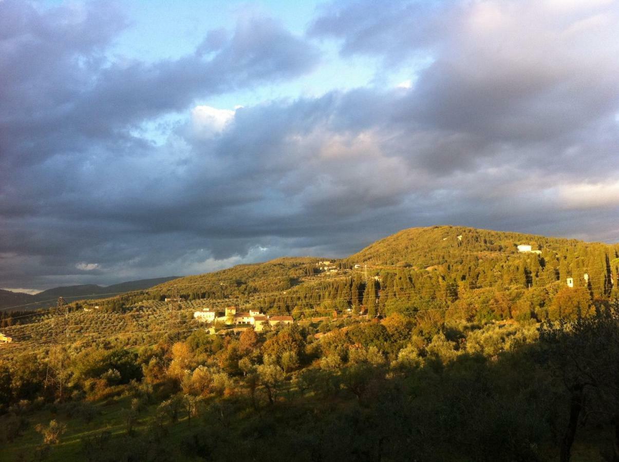Villa Porcigliano Olive Grove Polcanto Kültér fotó