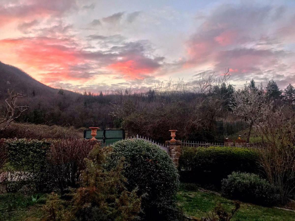 Villa Porcigliano Olive Grove Polcanto Kültér fotó